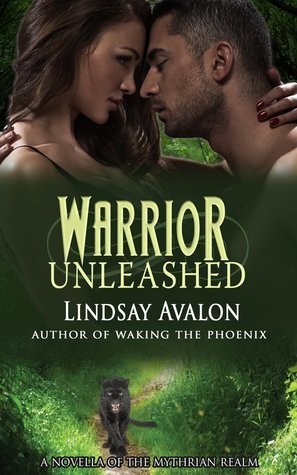 Warrior Unleashed book cover