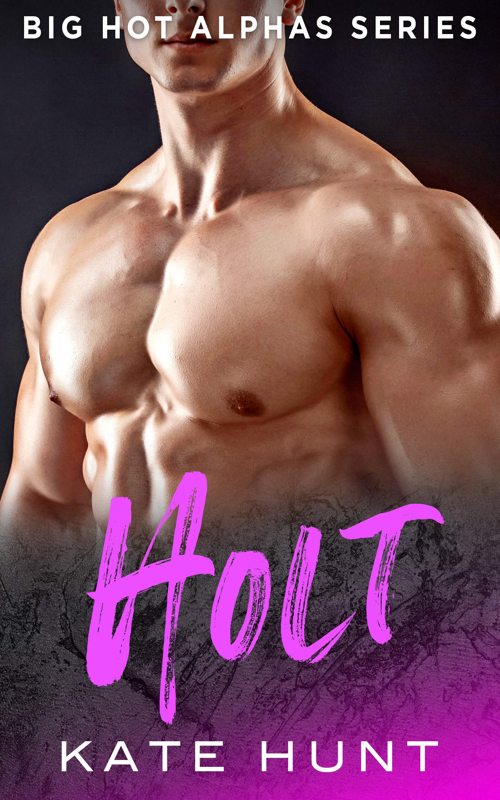 Holt book cover