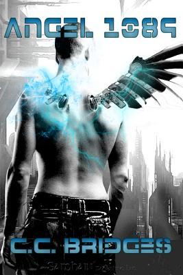 Heaven Corp. book cover 1