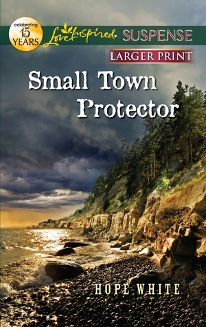 Small Town Protector book cover