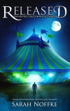 Vagabond Circus book cover 3