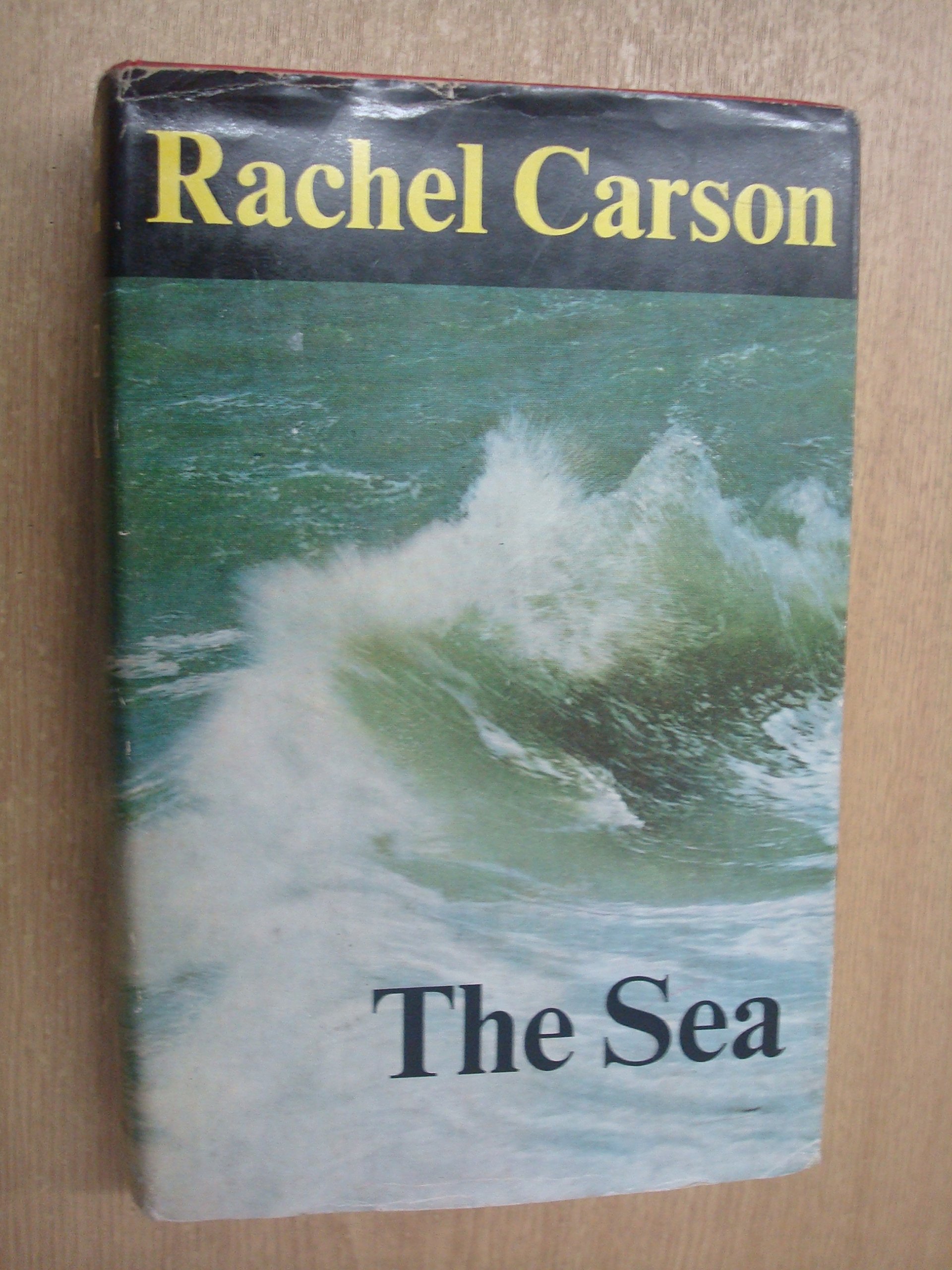 The Sea book cover