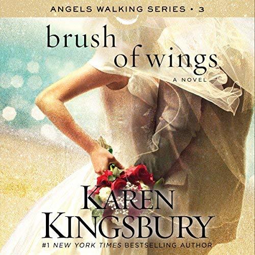Brush of Wings book cover