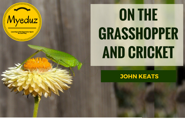 On The Grasshopper And The Cricket book cover