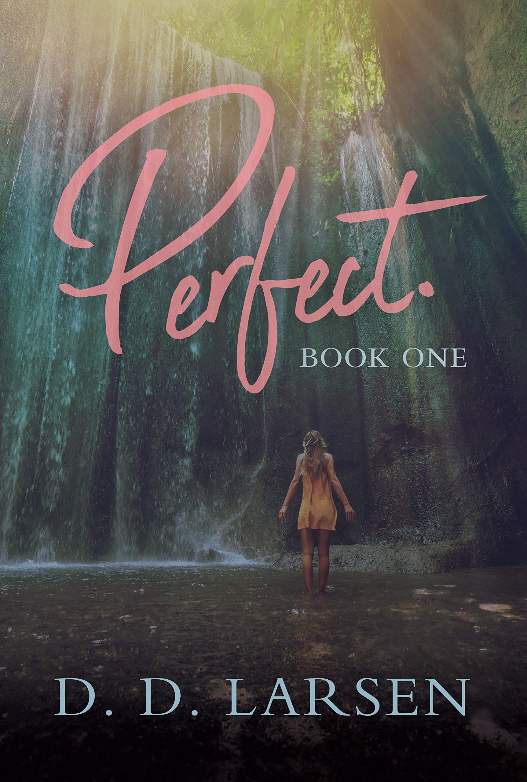 Perfect book cover 1