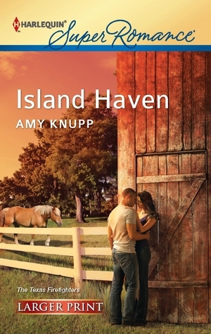 Afterburn book cover