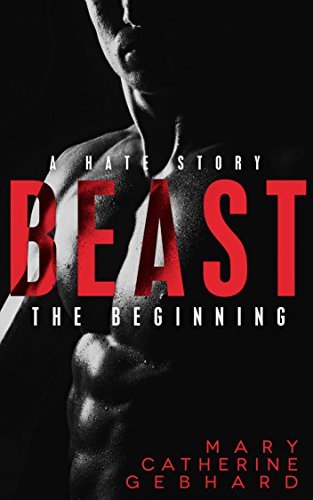 Hate Story book cover 1