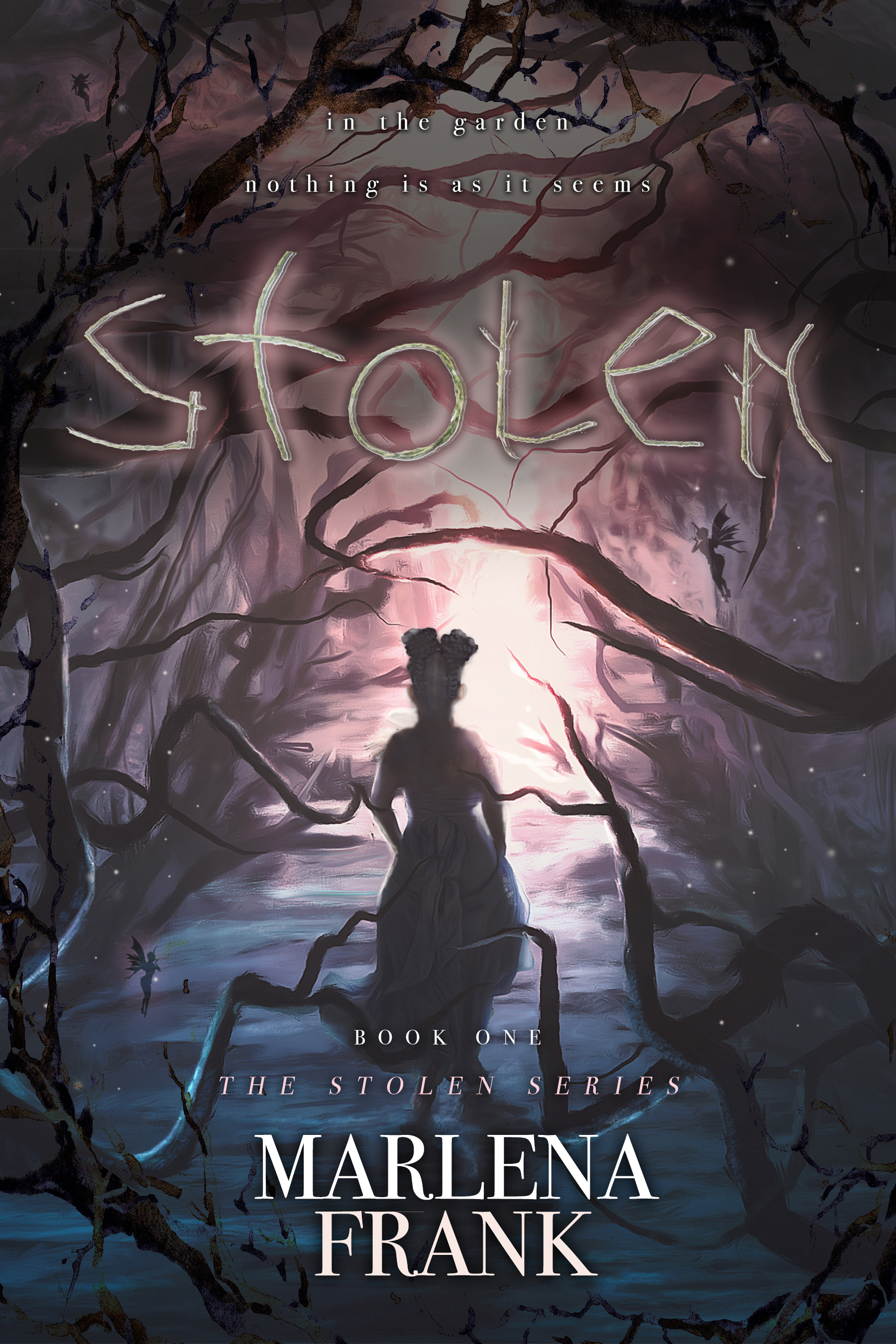 The Stolen Series book cover 1