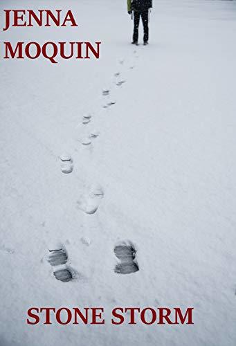 Stone Storm book cover
