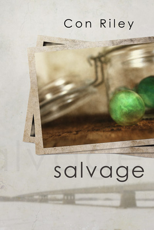 Salvage Stories book cover 1