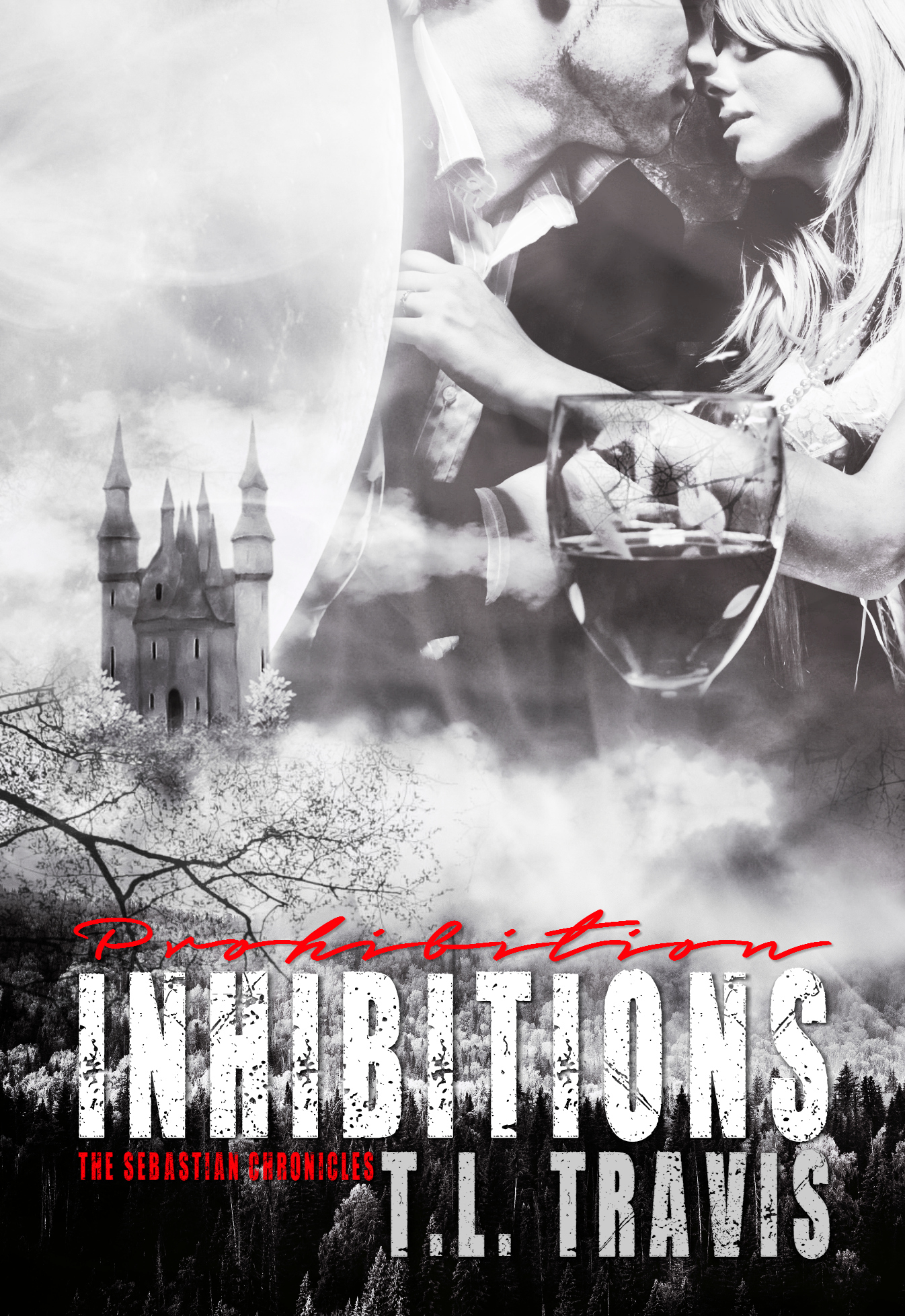 Prohibition Inhibitions book cover