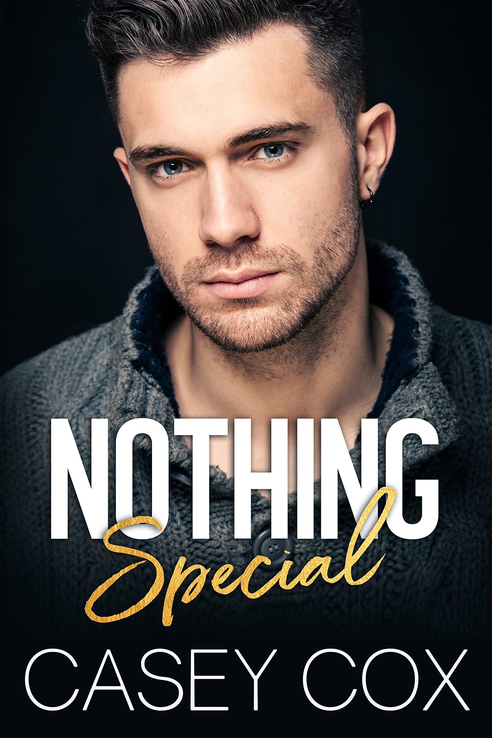 Nothing Special book cover