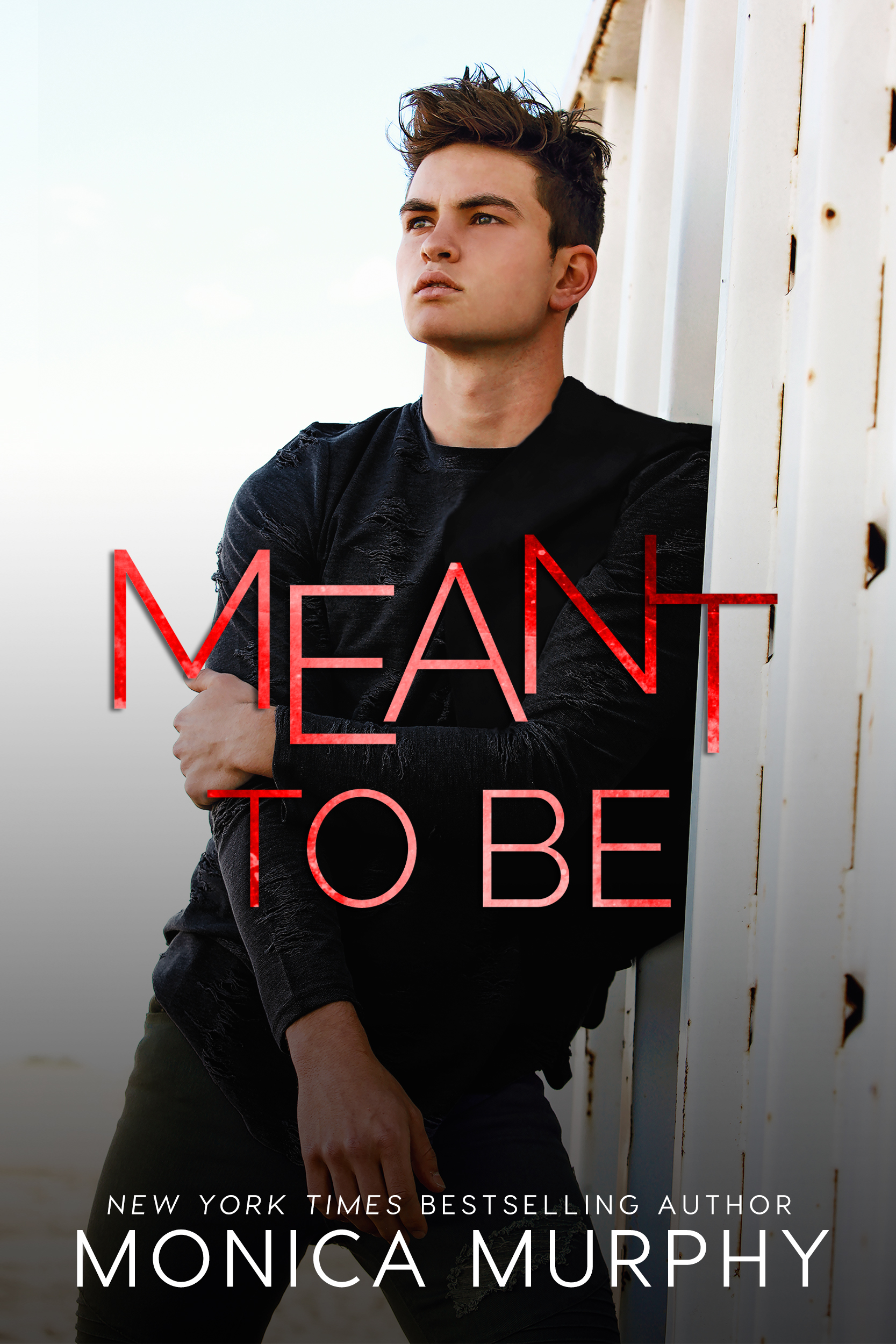 Meant To Be book cover