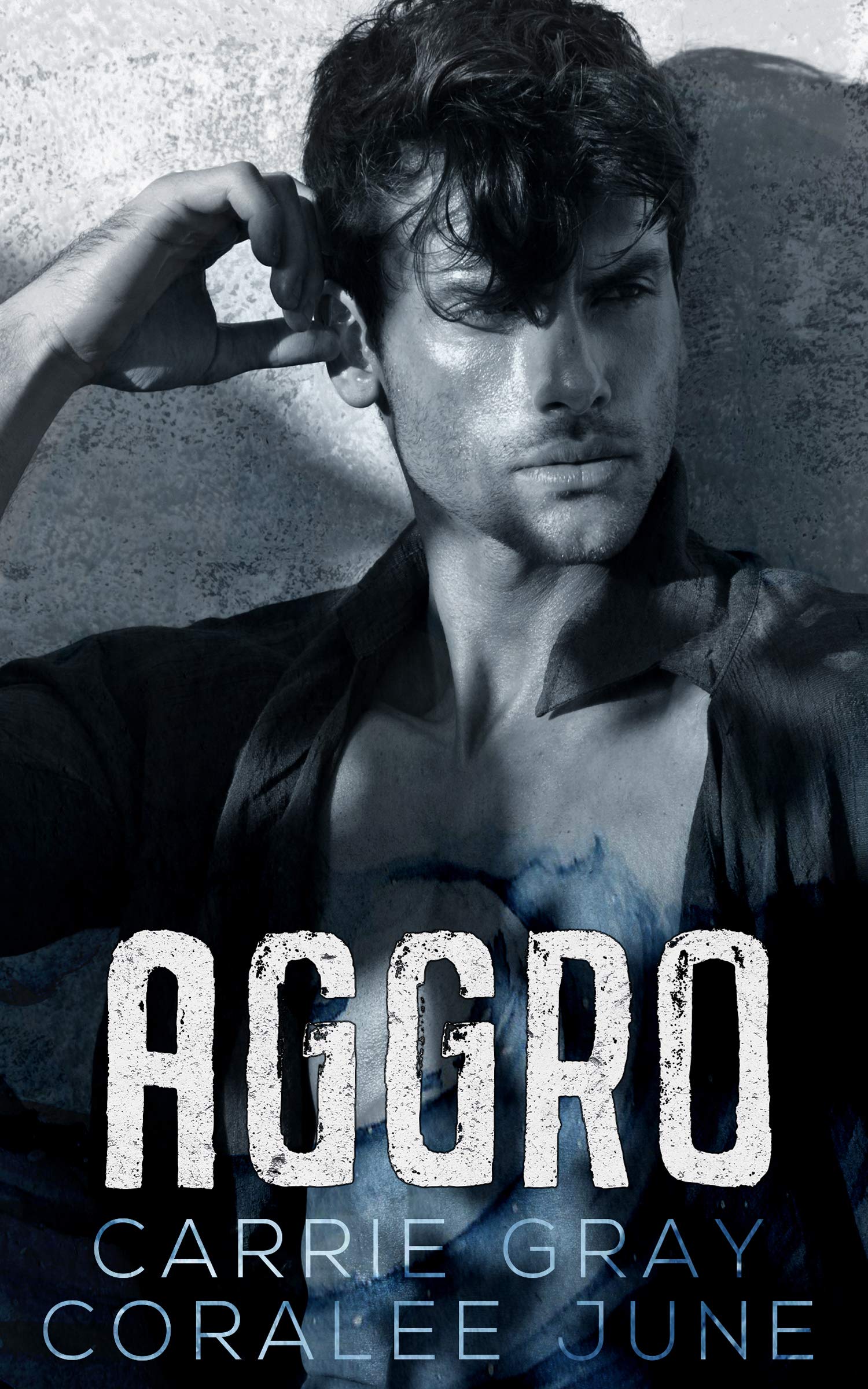 Aggro book cover