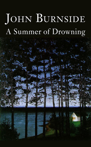A Summer of Drowning book cover