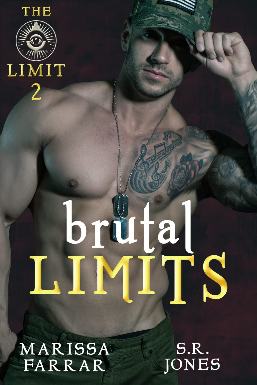 The Limit book cover 2