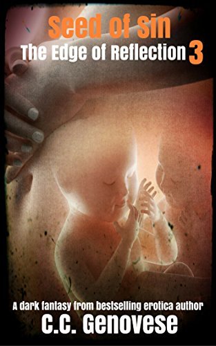 Edge of Reflection book cover 2