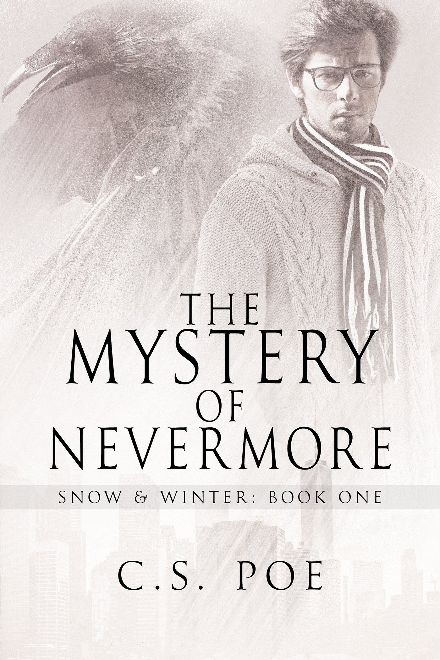 Snow & Winter book cover 1