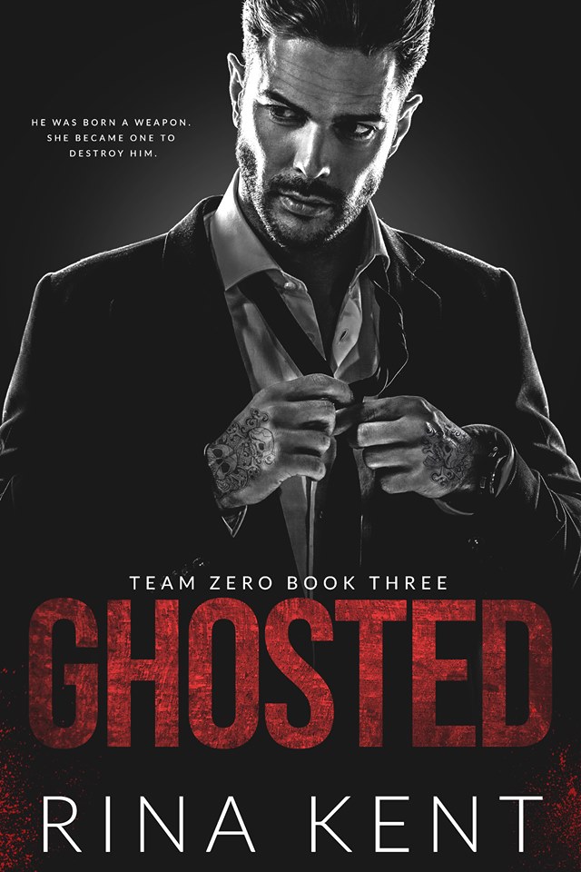 Team Zero book cover 3