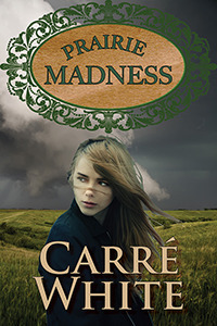 Prairie Madness book cover