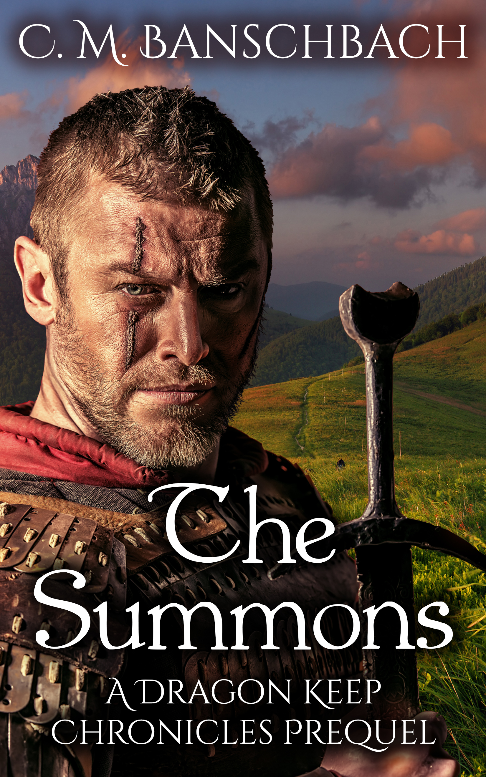 The Summons book cover
