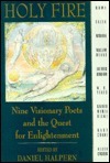 Holy Fire book cover