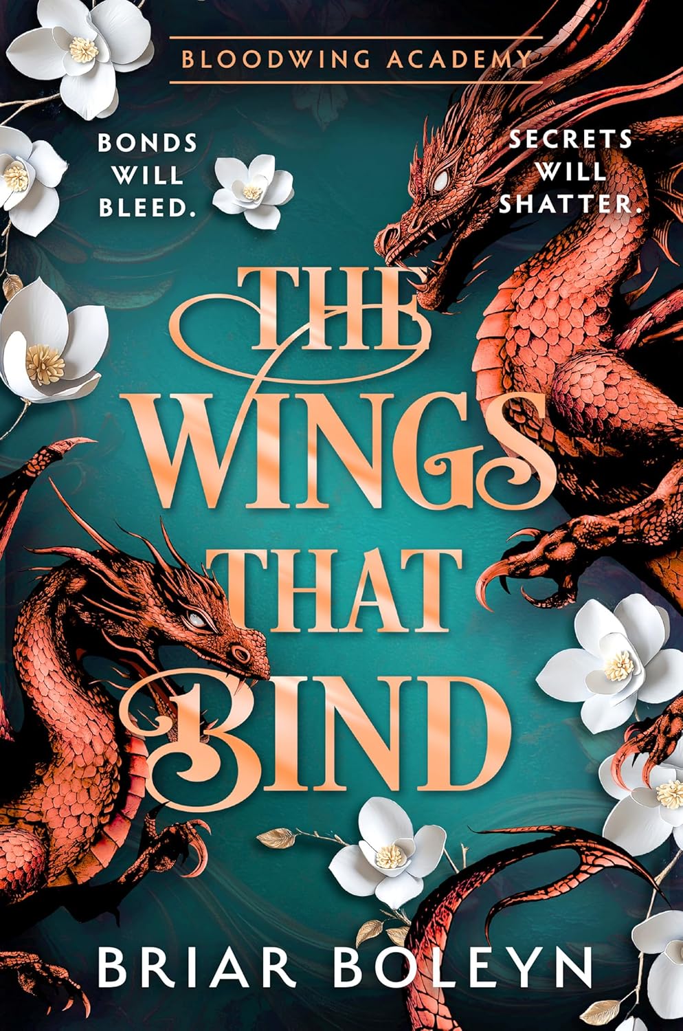 Bloodwing Academy book cover 3