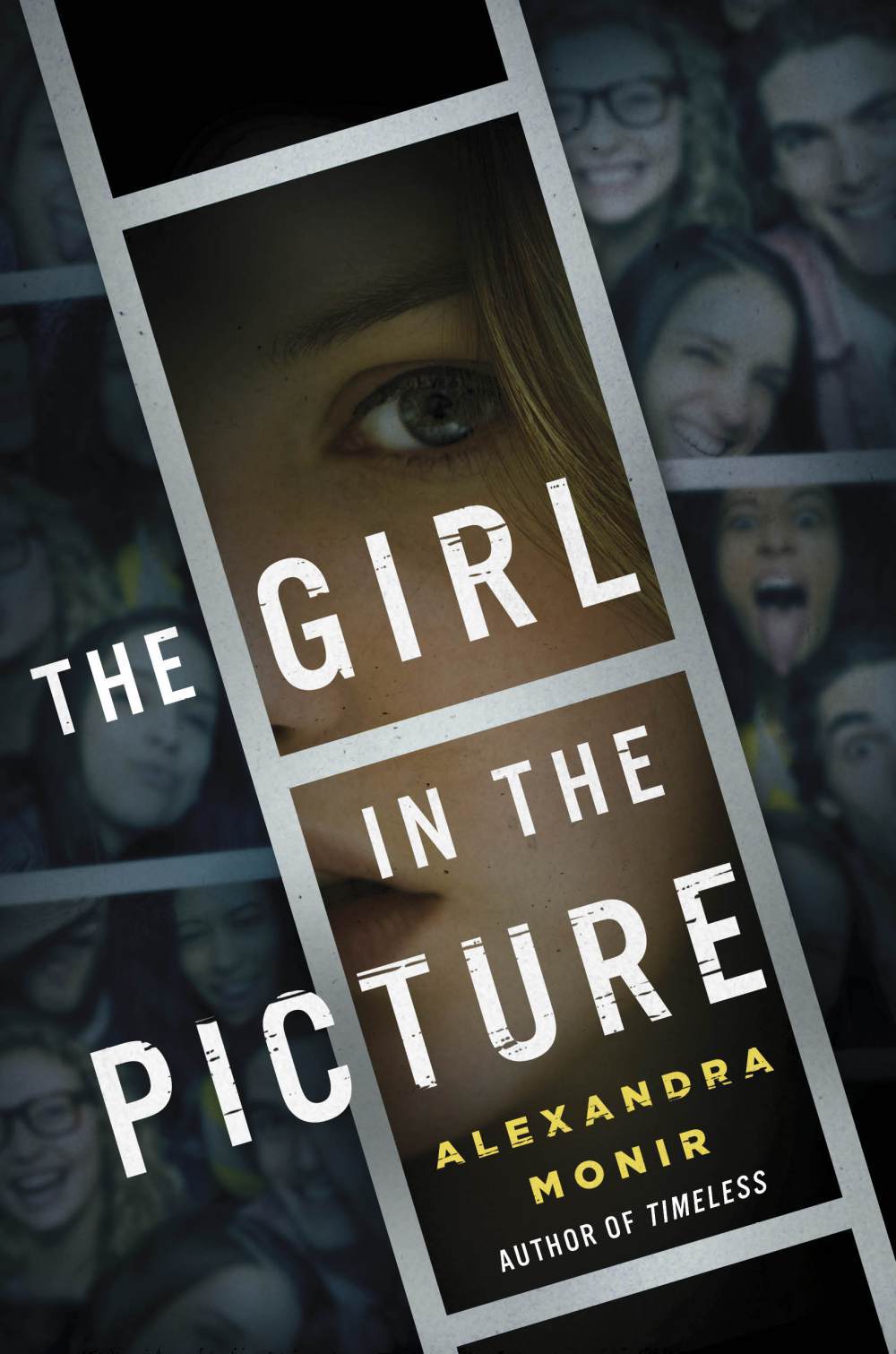 The Girl in the Picture book cover
