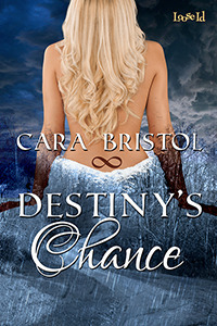 Destiny's Chance book cover