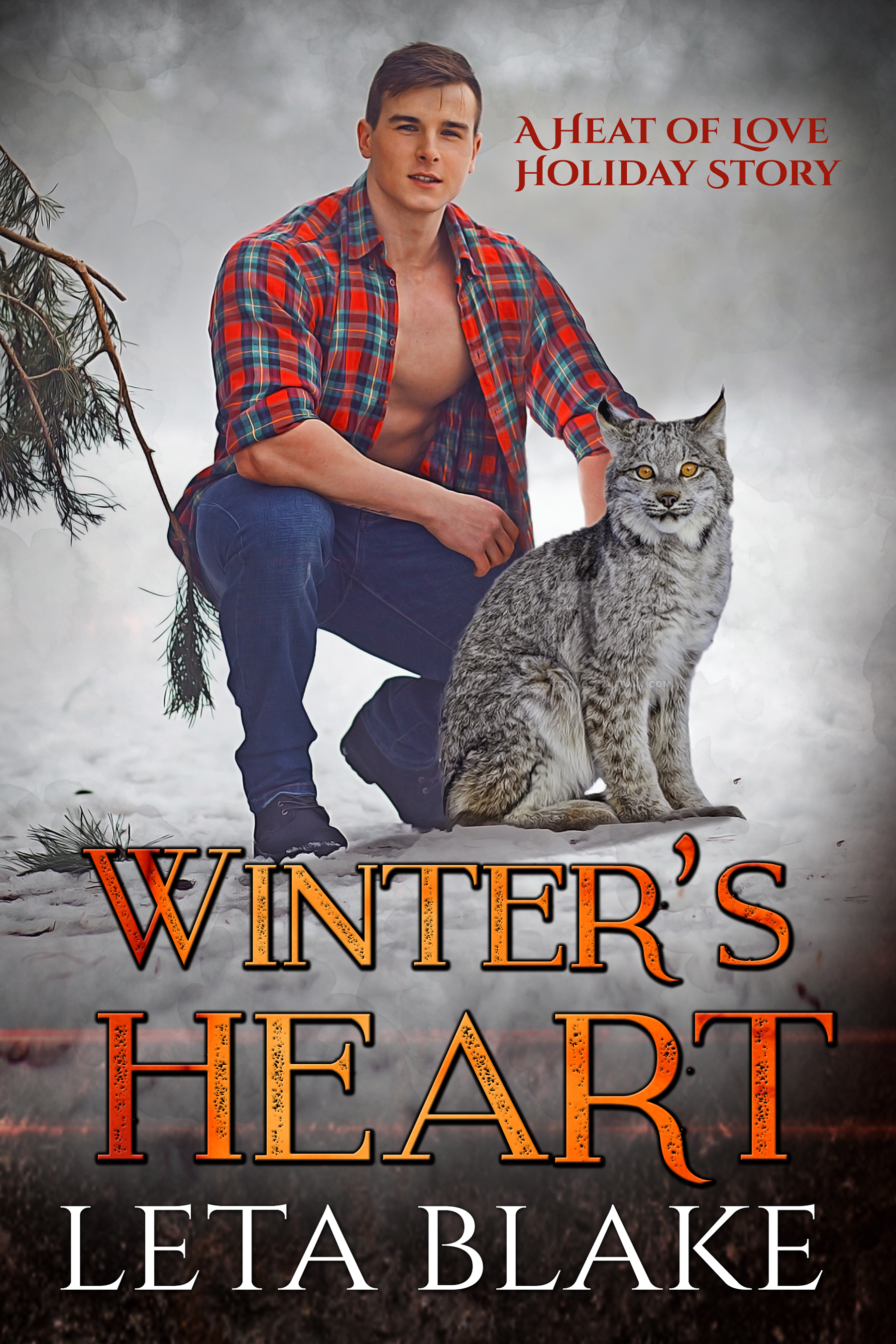 Winter's Heart book cover