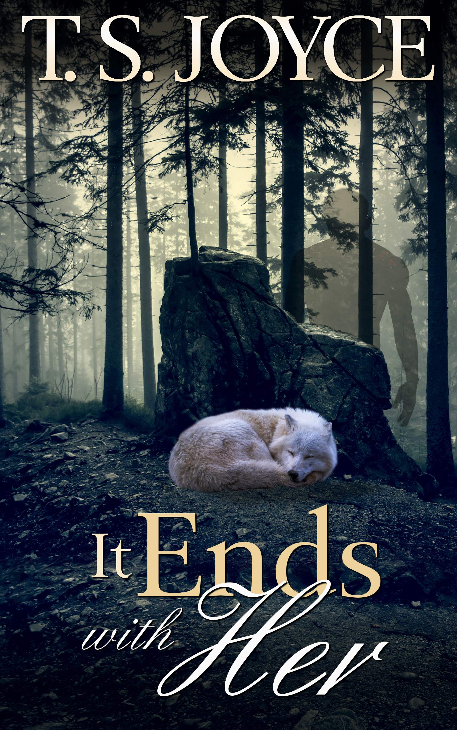 It Ends with Her book cover