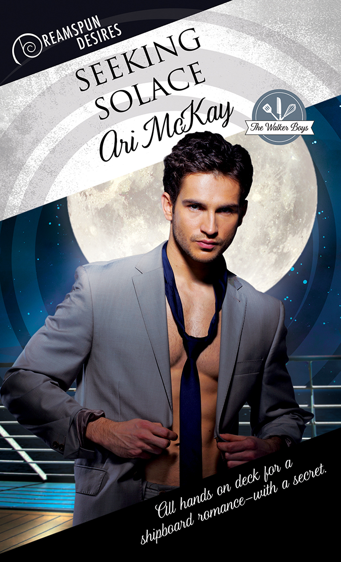 Seeking Solace book cover