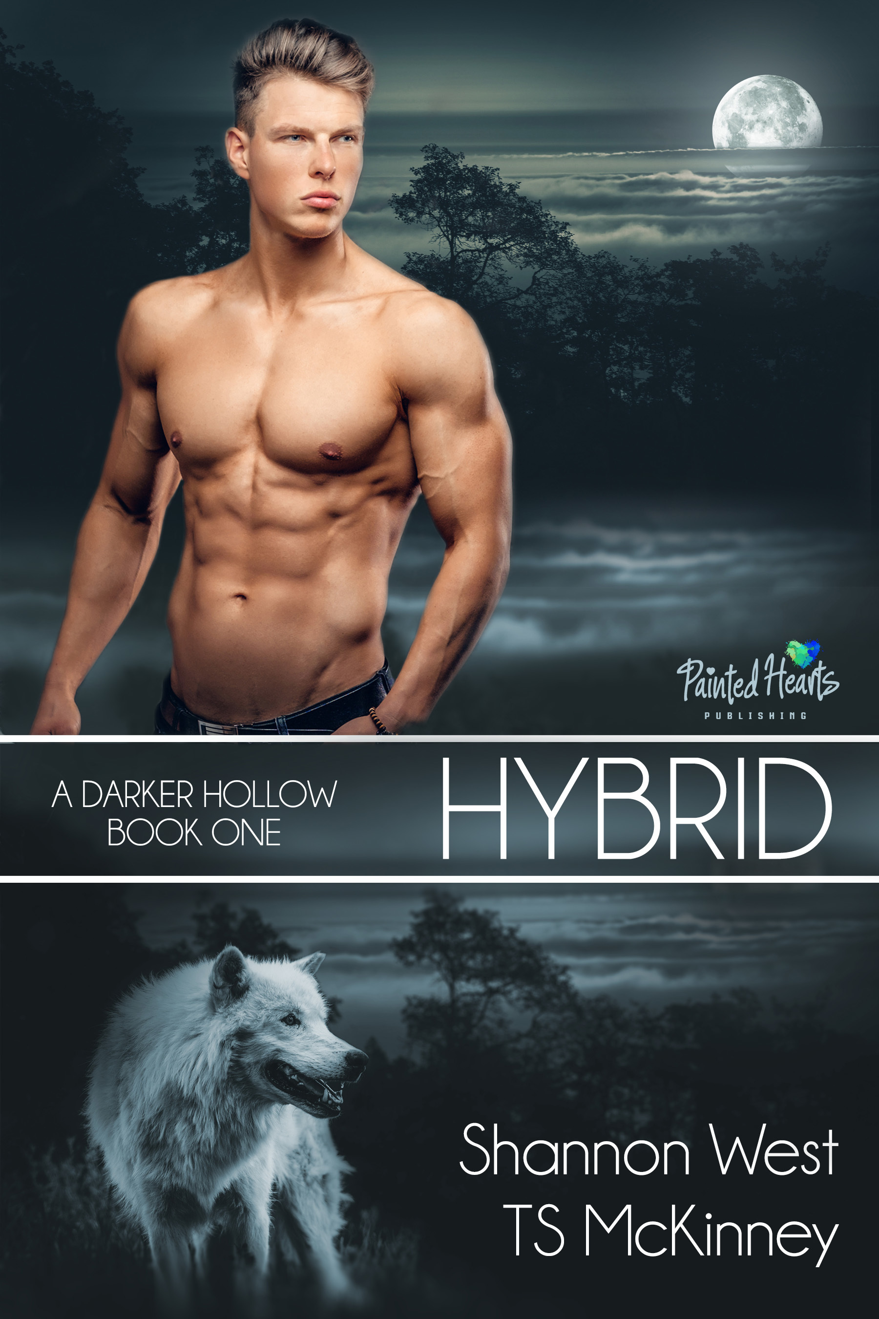 A Darker Hollow book cover 1