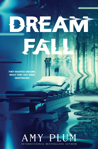 Dreamfall book cover 1
