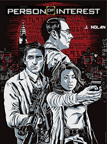 Person of Interest book cover