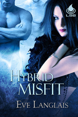 The Misfits book cover 1