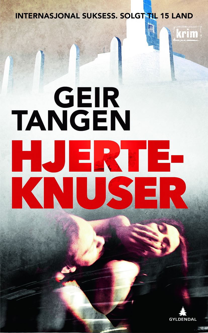 Gudmundsson & Skeisvoll book cover 2