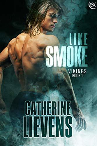 Vikings book cover 1