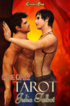 Cirque Caprice book cover 1
