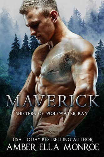 Maverick book cover