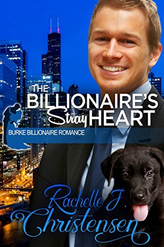 Burke Billionaire Romance book cover 2