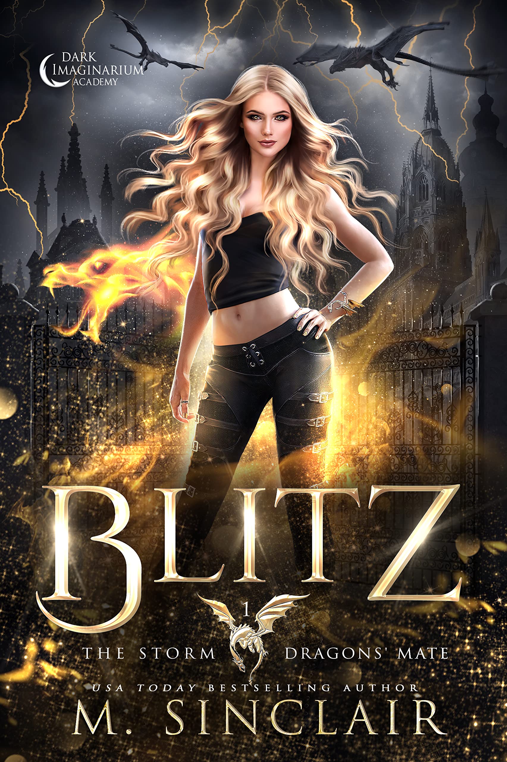 The Storm Dragons' Mate book cover 1