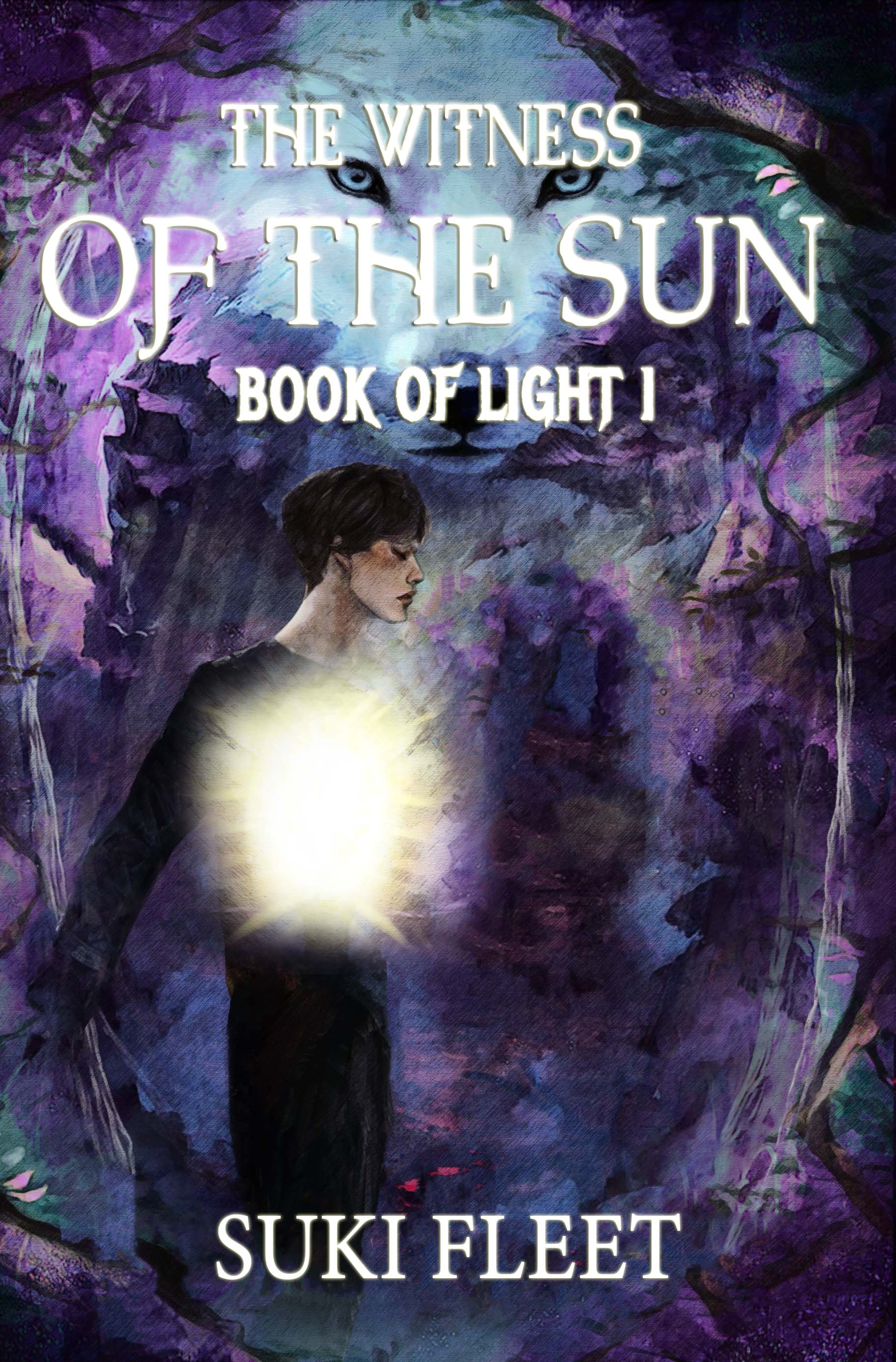 The Witness of the Sun book cover