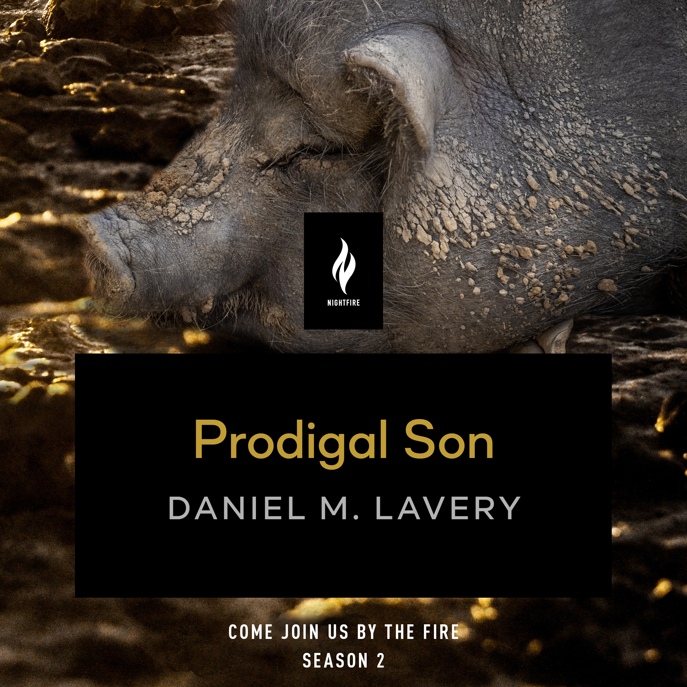 Prodigal Son book cover