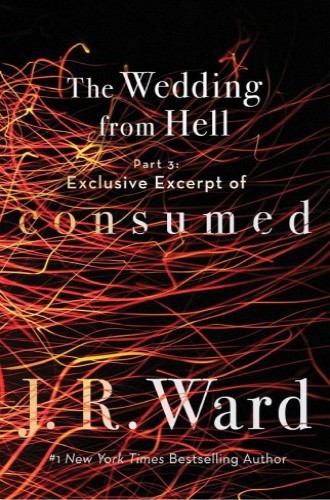 The Wedding From Hell book cover 3