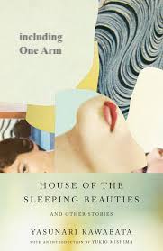 One Arm book cover