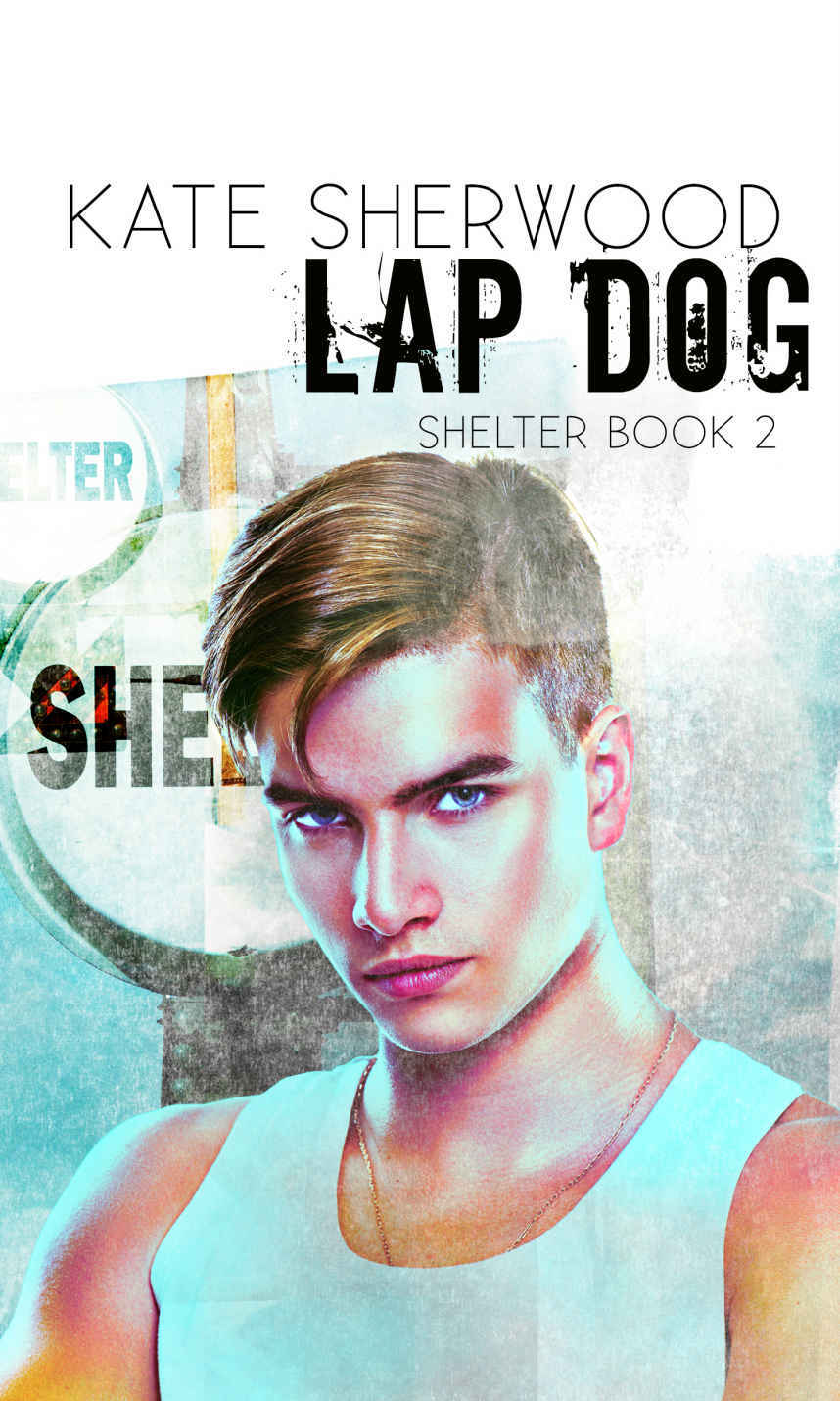 Shelter book cover 2
