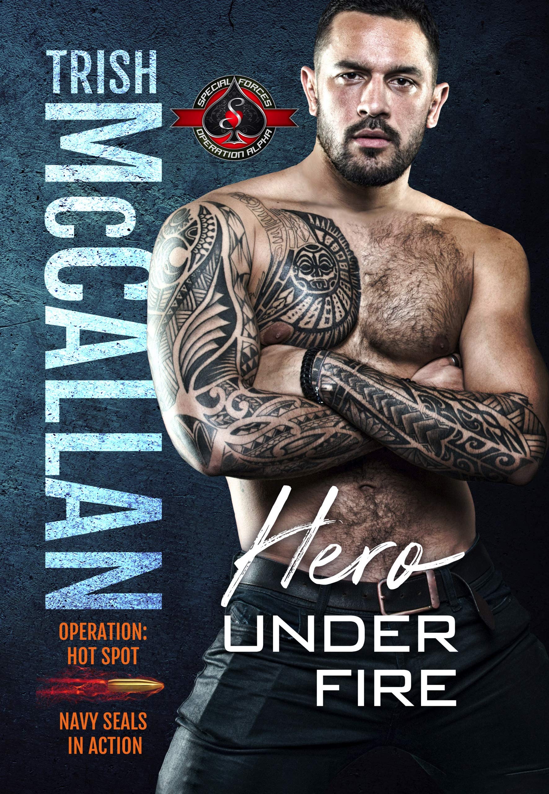 Hero Under Fire book cover