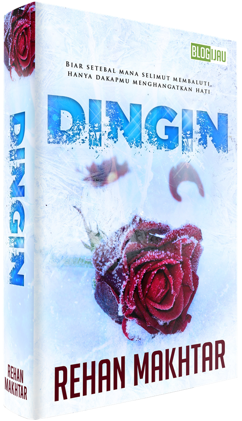 Dingin book cover