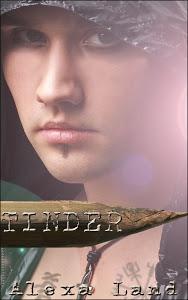 The Tinder Chronicles book cover 1